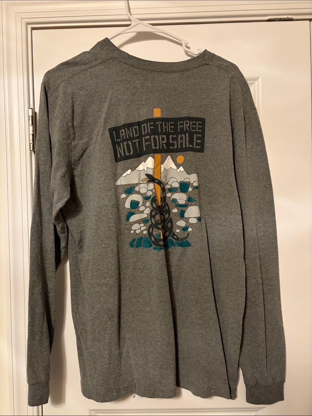 Patagonia Men's Gray Graphic Long-Sleeve Shirt - 'Land of the Free'